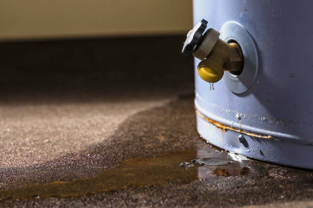 Best Water damage restoration near me  in Hydesville, CA