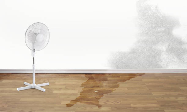 Best Flood restoration services  in Hydesville, CA