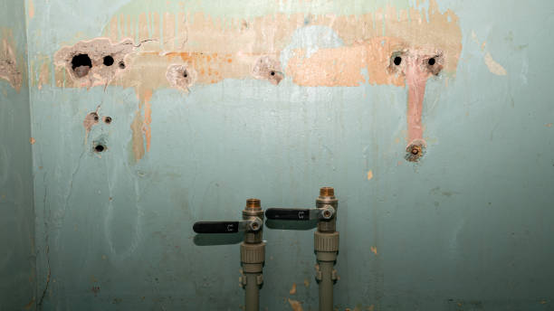 Best Professional water damage repair  in Hydesville, CA