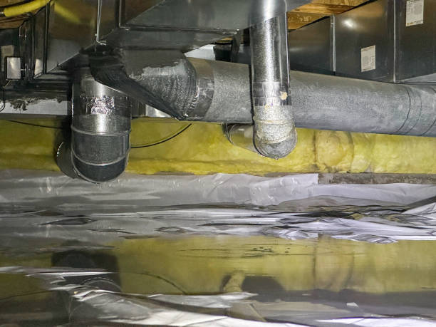 Best Water damage cleanup near me  in Hydesville, CA