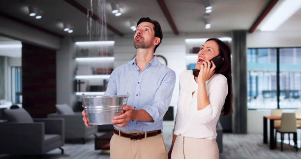 Best Water damage restoration near me  in Hydesville, CA