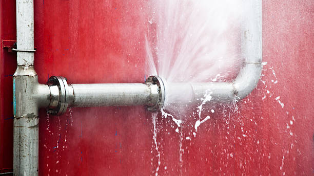 Best Water damage contractors near me  in Hydesville, CA